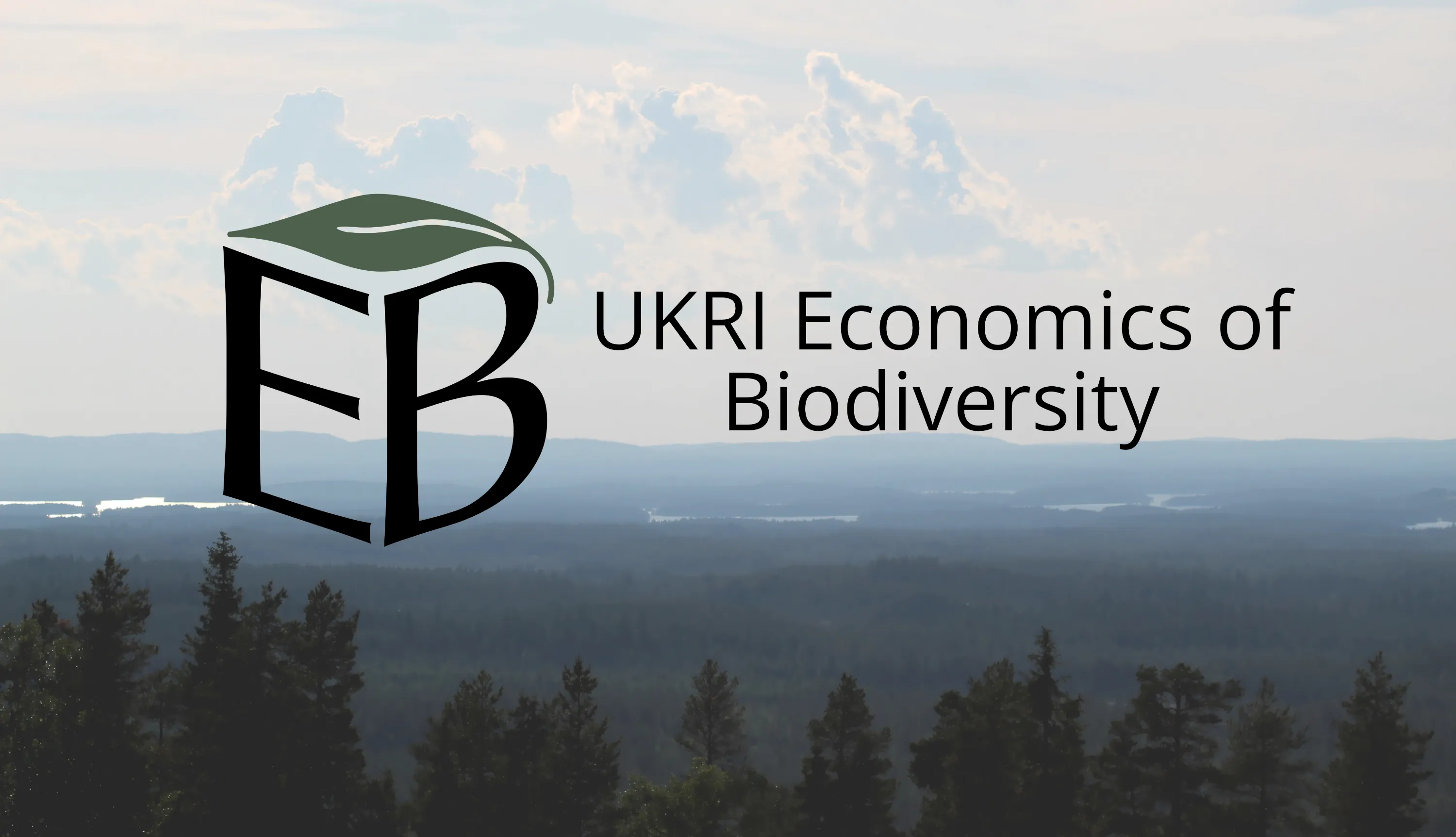 Photograph of a natural wooded landscape. Tops of coniferous trees are visible in the foreground, with the treescape continuing into the midground and background.